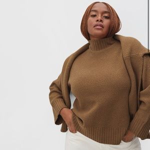 Everlane The Cashmere Stroopwafel Turtleneck